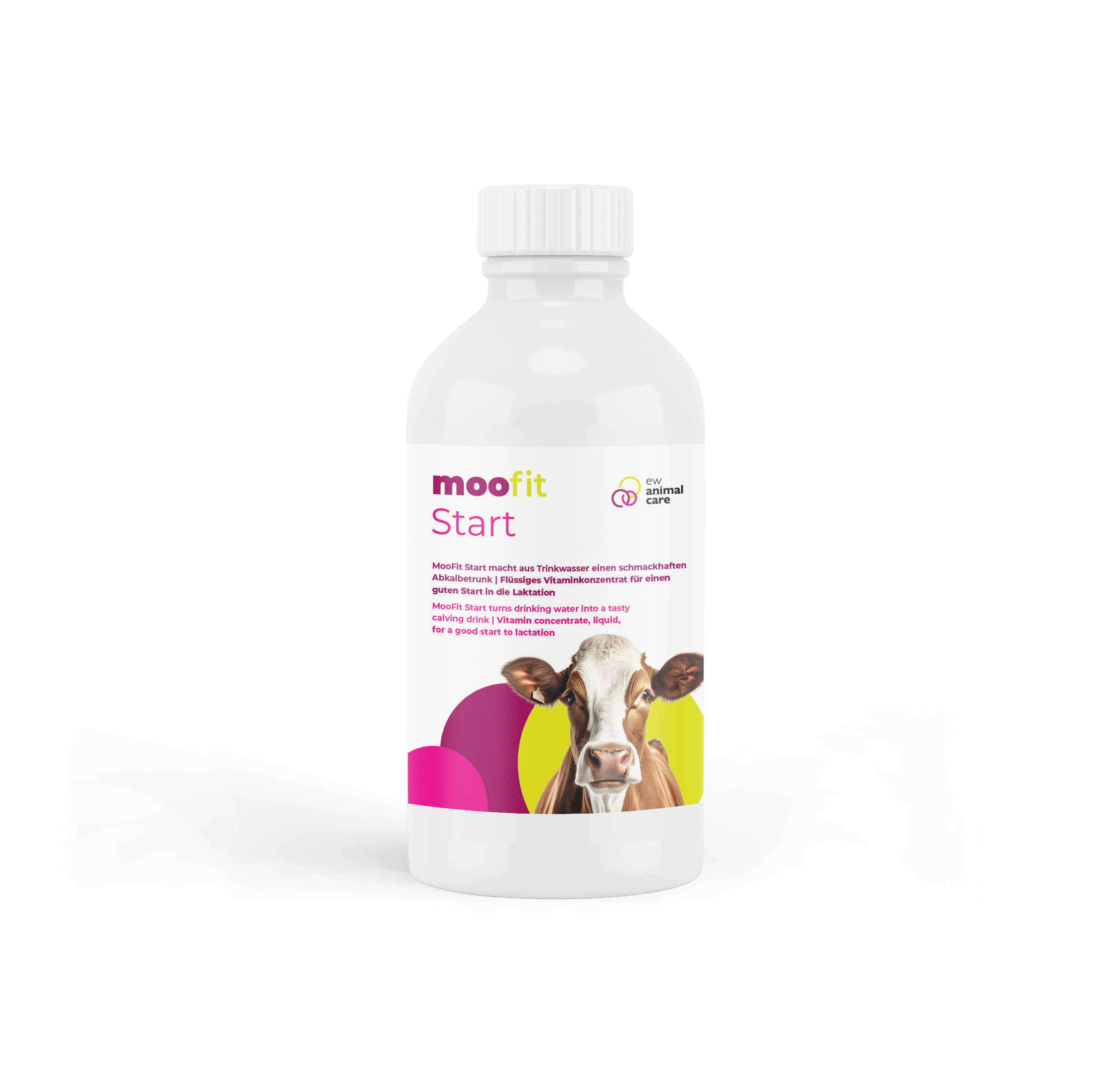 Moofit Start